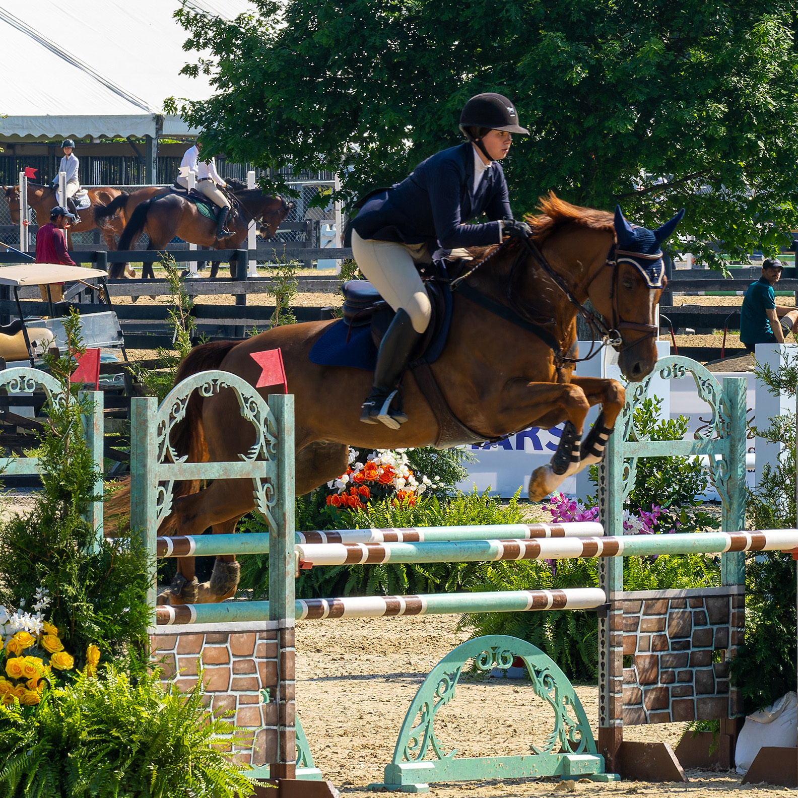Upperville Colt & Horse Show 2025